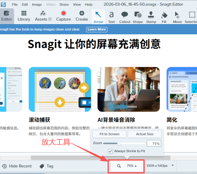 Snagit编辑器放大工具