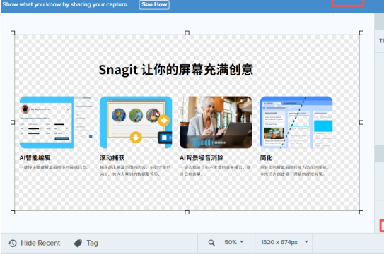 Snagit裁剪