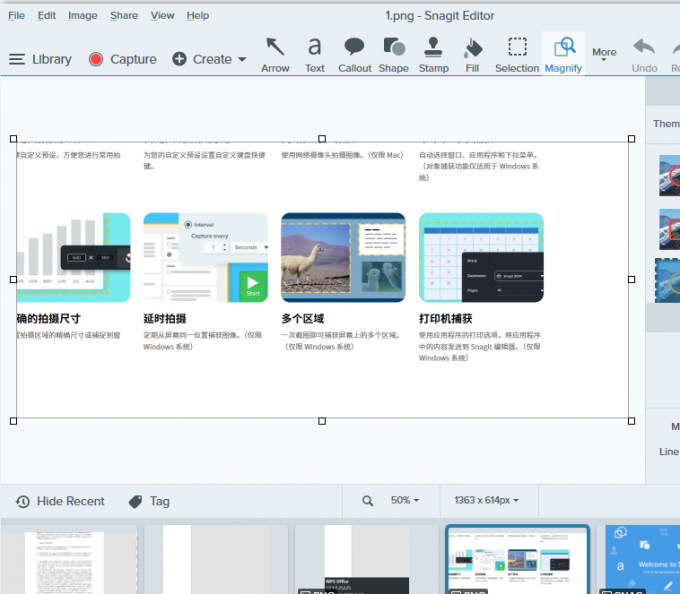 Snagit编辑器
