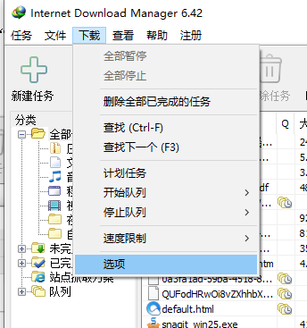 打开IDM配置页