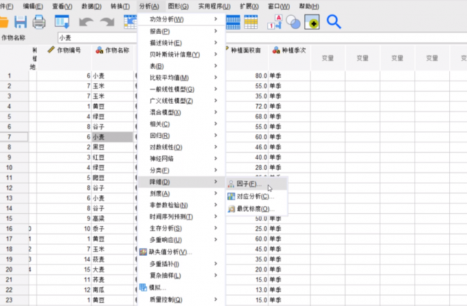 分析选项