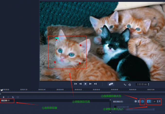 选择运动跟踪范围