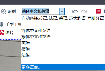 更多语言