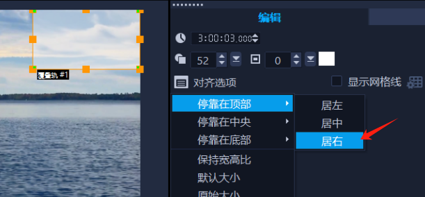 对齐选项