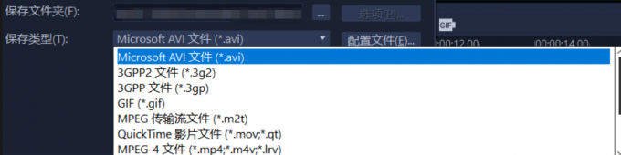 保存类型