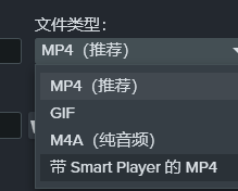 文件类型