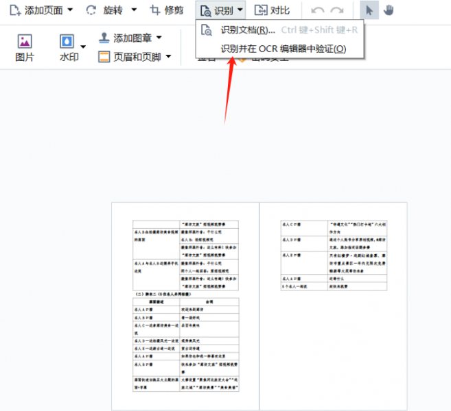 识别并在OCR编辑器中验证