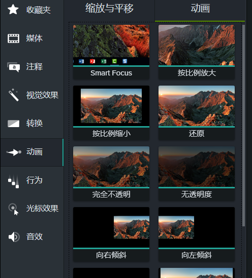 动画