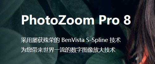 PhotoZoom 8 pro