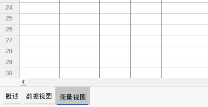 变量视图