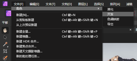 开发角色