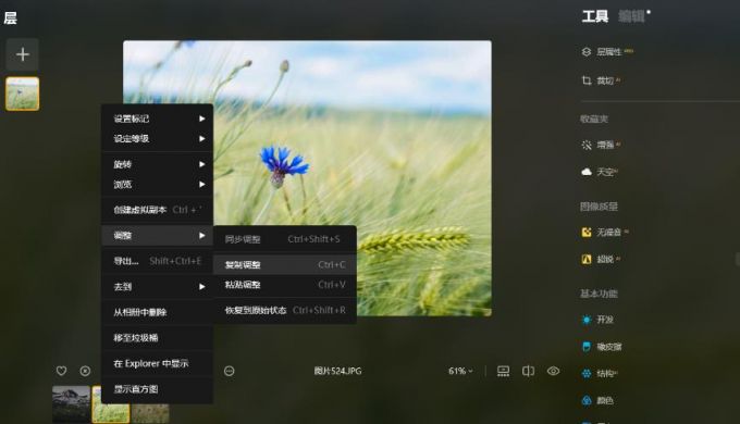 复制调整