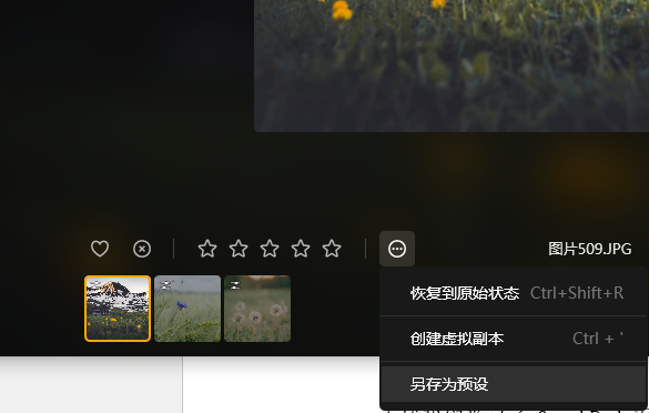 另存为预设