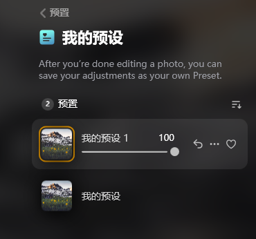 我的预设