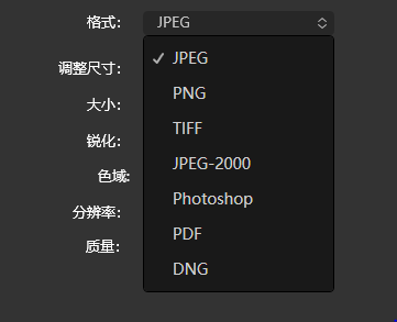 可选择的格式选项