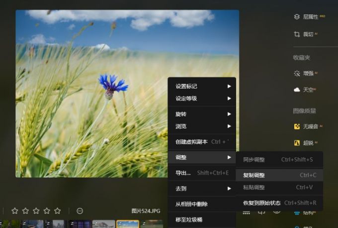 复制调整