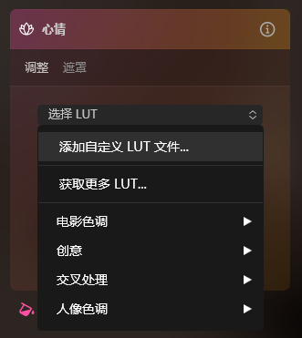 添加自定义LUT文件