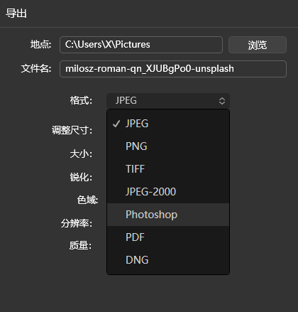 导出格式