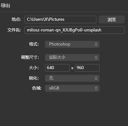 导出设置