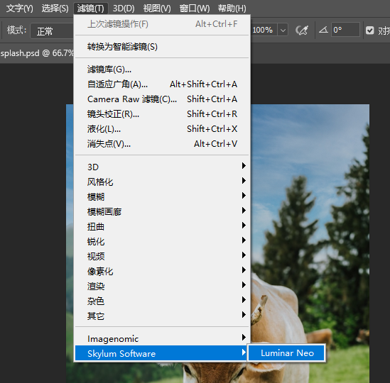 Luminar Neo插件