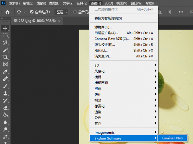 Luminar Neo插件
