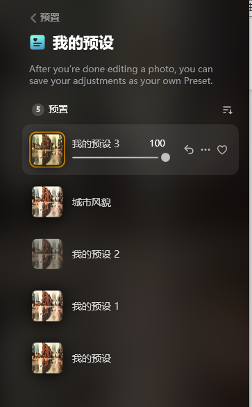 我的预设