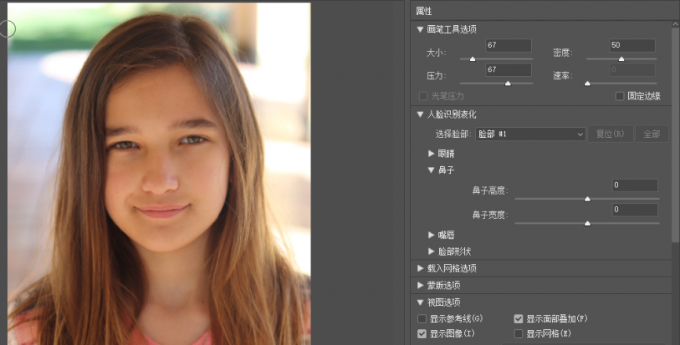 PS的修鼻子工具