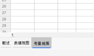 变量视图