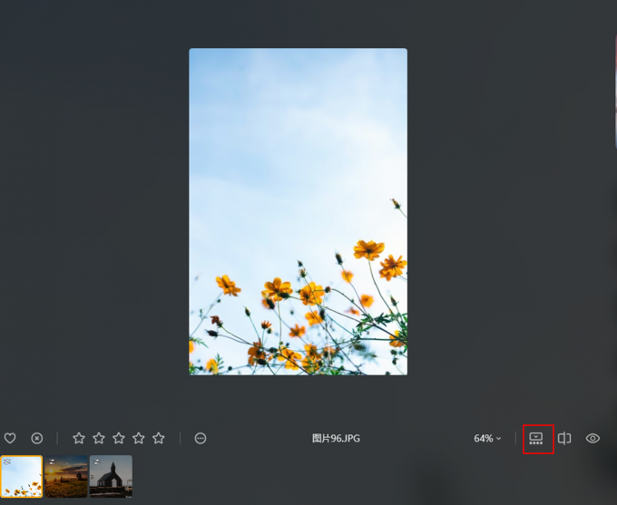 胶片视图