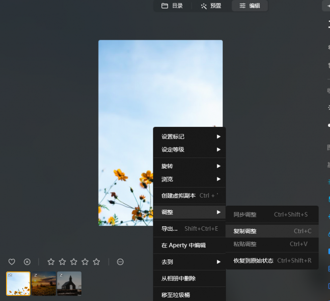 复制调整