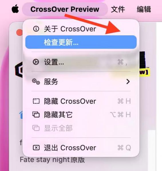 检查更新