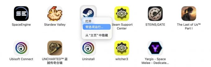 带选项运行Steam
