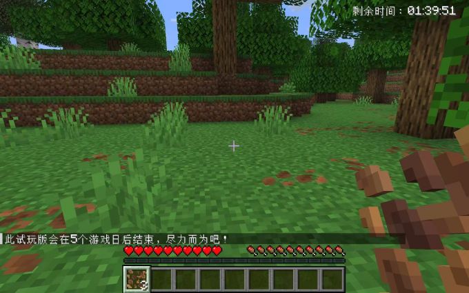 游戏体验非常不错