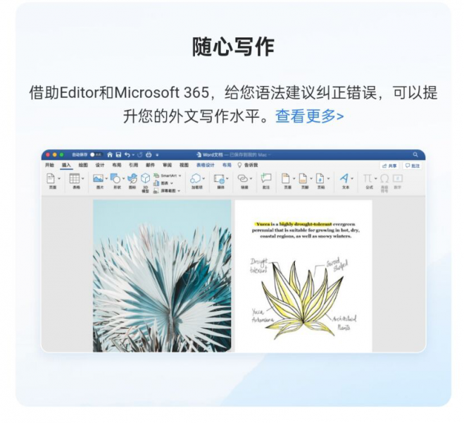Microsoft 365的随心写作功能
