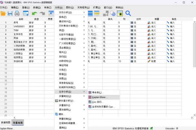 打开进入到【Kaplan Meier】分析界面