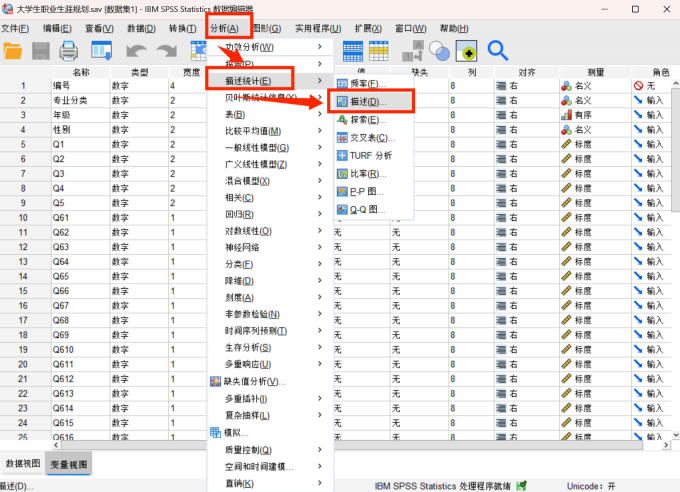 点击进入数据分析的描述选项