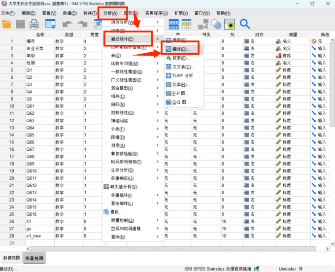 点击进入描述分析界面