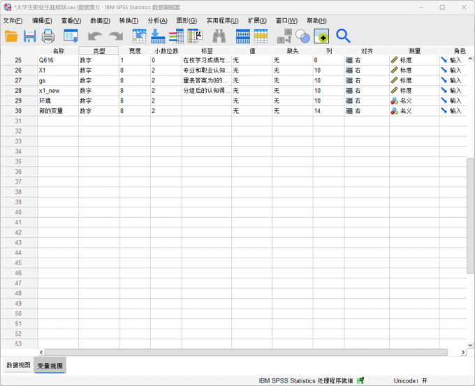 在变量视图的新变量列中查看新转换的变量信息