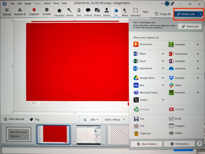 选择设置Share Link