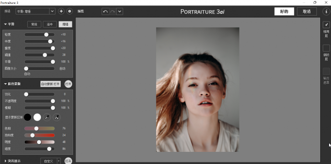 Portraiture软件界面