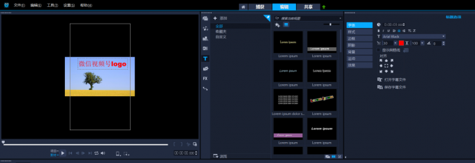 文字水印输入界面图