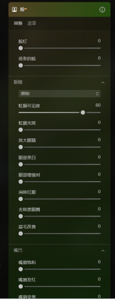 脸AI界面图