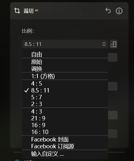 比例选项框界面图