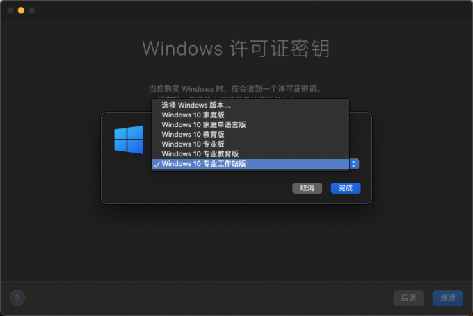 选择Windows安装版本