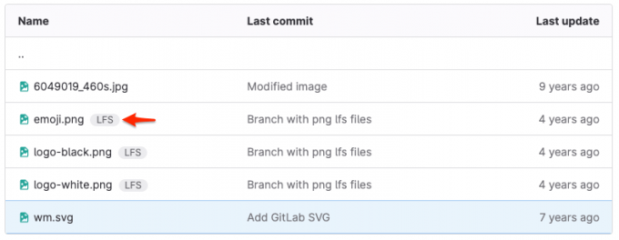Git LFS