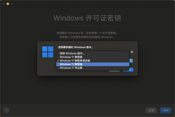 选择Windows版本