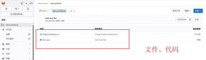 查看项目文件/代码