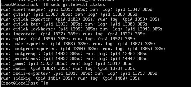 查看GitLab服务状态