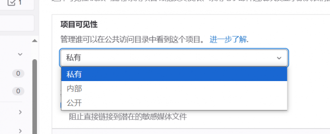 项目可见性