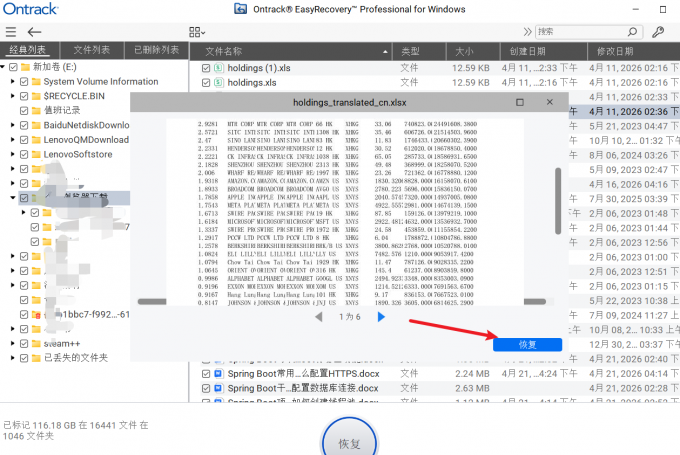 EasyRecovery预览恢复的文件